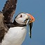 thumbs/IMG_1721.jpg